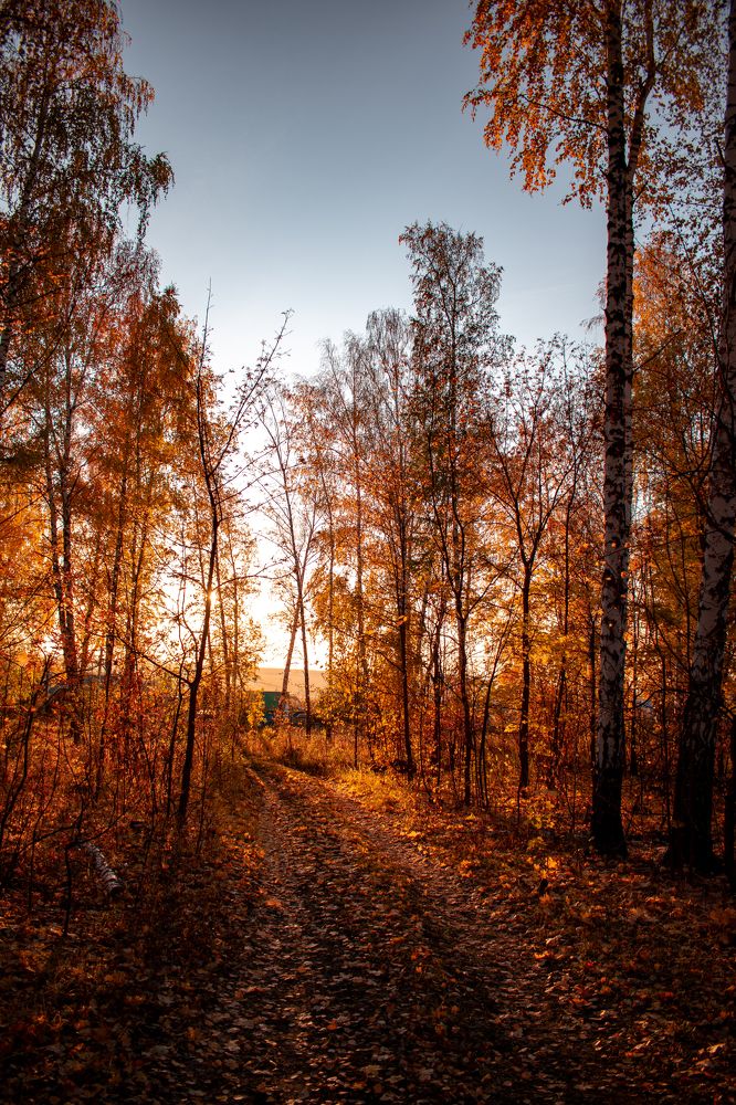 Photograph by Андрей Липовый