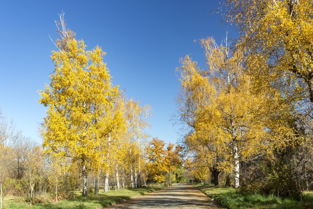 Photograph by Аскар Баймухамедов