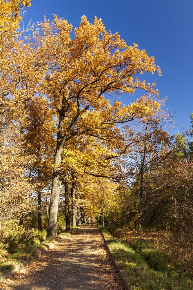 Photograph by Аскар Баймухамедов