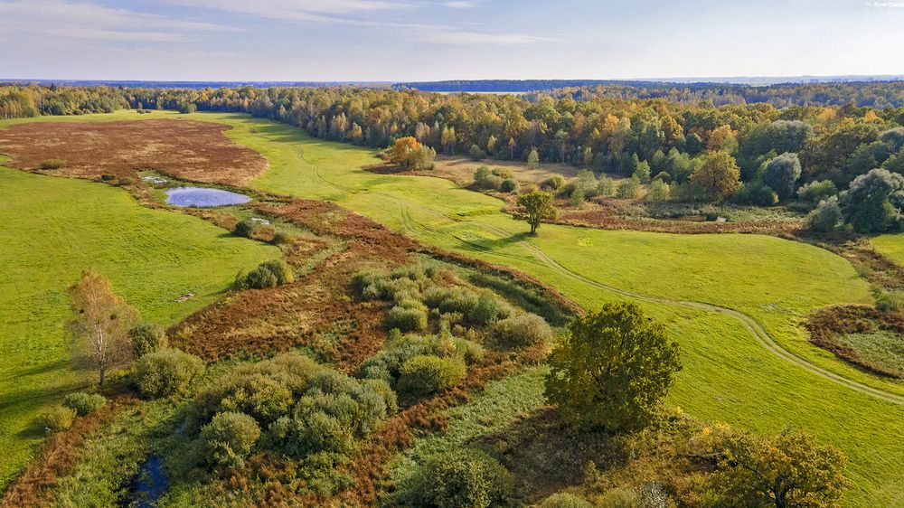 Photograph by Алла Толстая