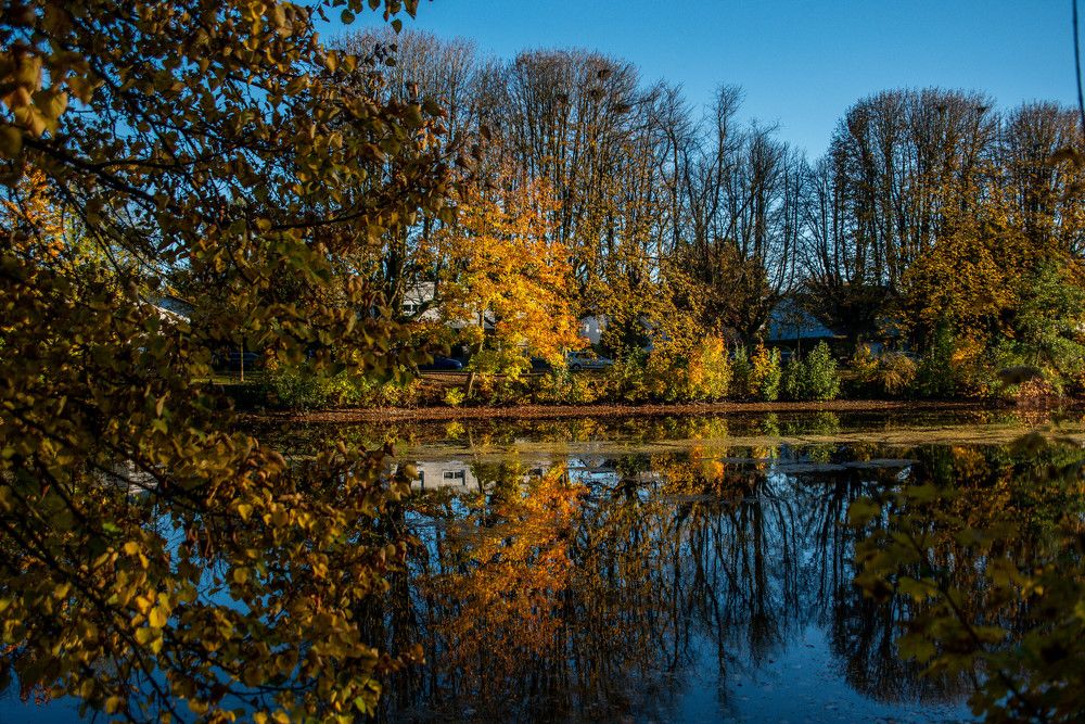 Photograph by Сергей Нагель-Синегубов