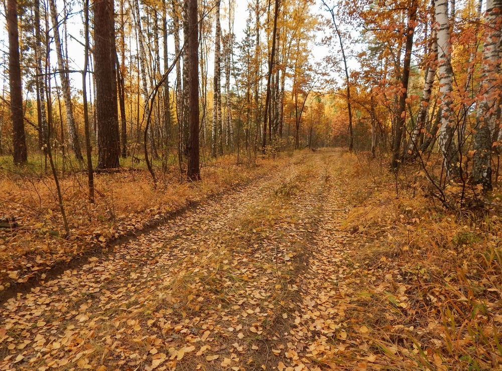 Photograph by Александр Андриянов