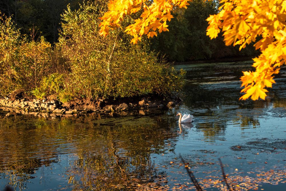 Photograph by Сергей Нагель-Синегубов