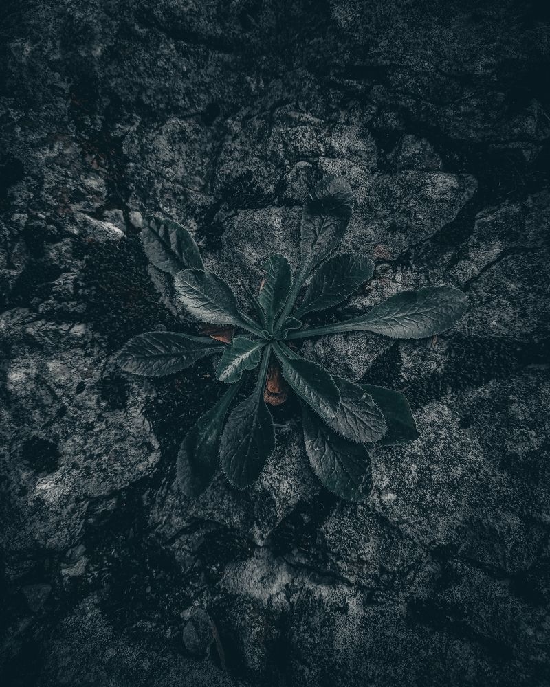 Photograph by Денис Шамров