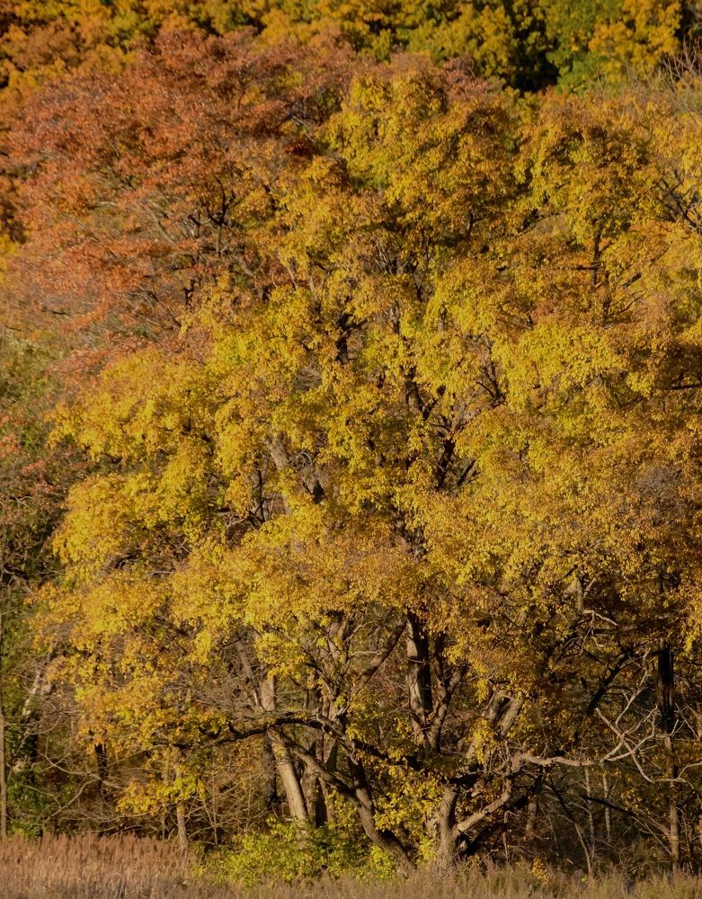 Photograph by Олег Волков