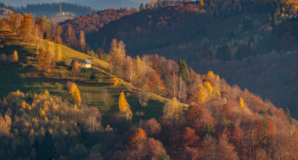 Photograph by Pucs Fongabe