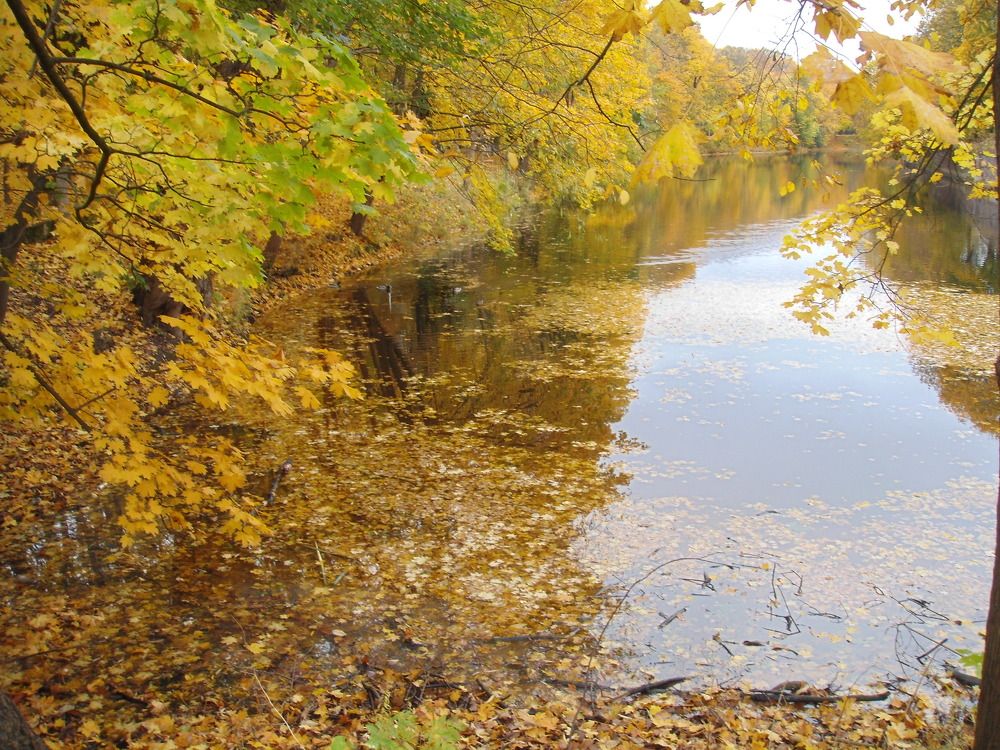 Photograph by Елена