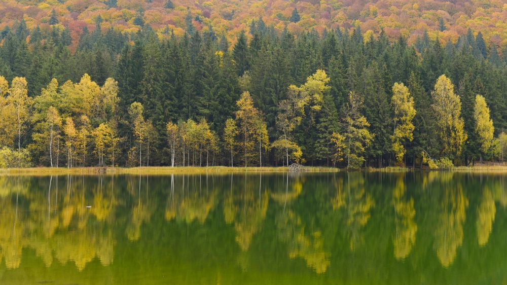 Photograph by Hoandra Ilie