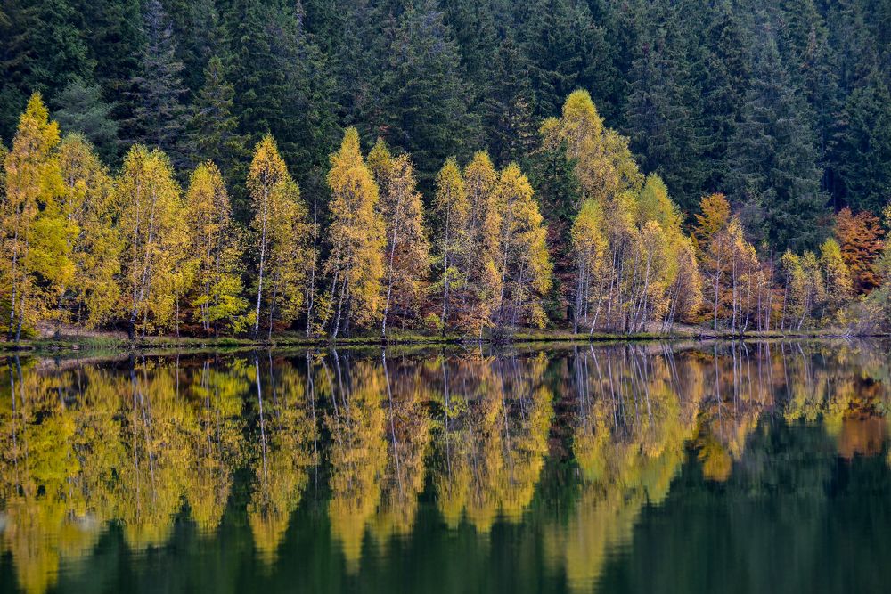 Photograph by Hoandra Ilie