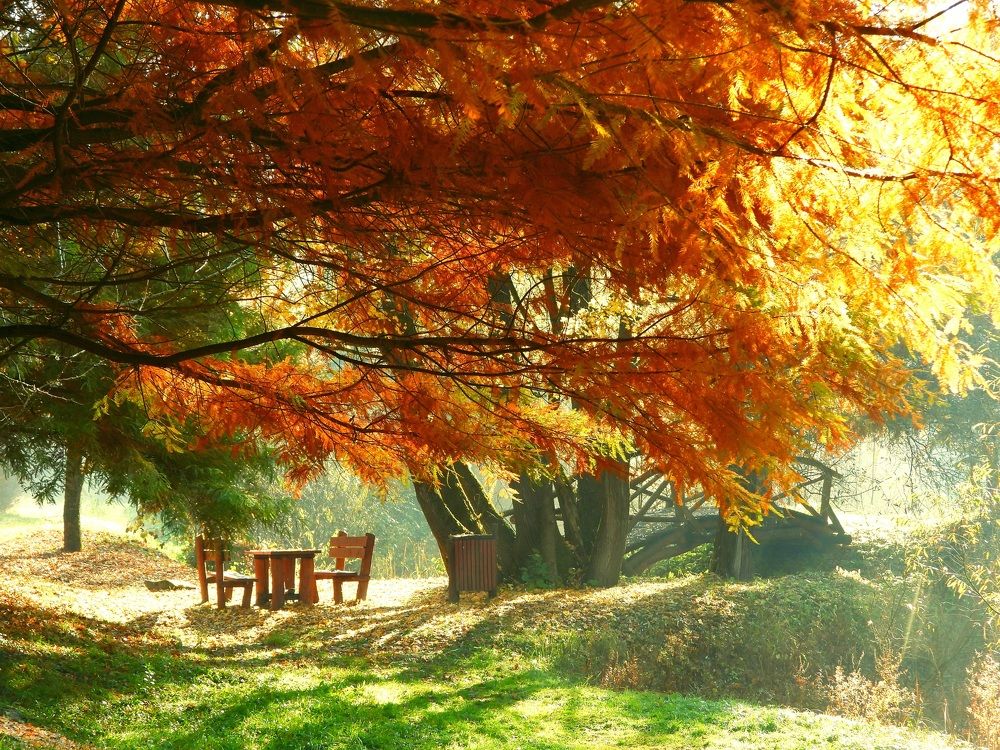 Фотография автора Bastini Gabriele