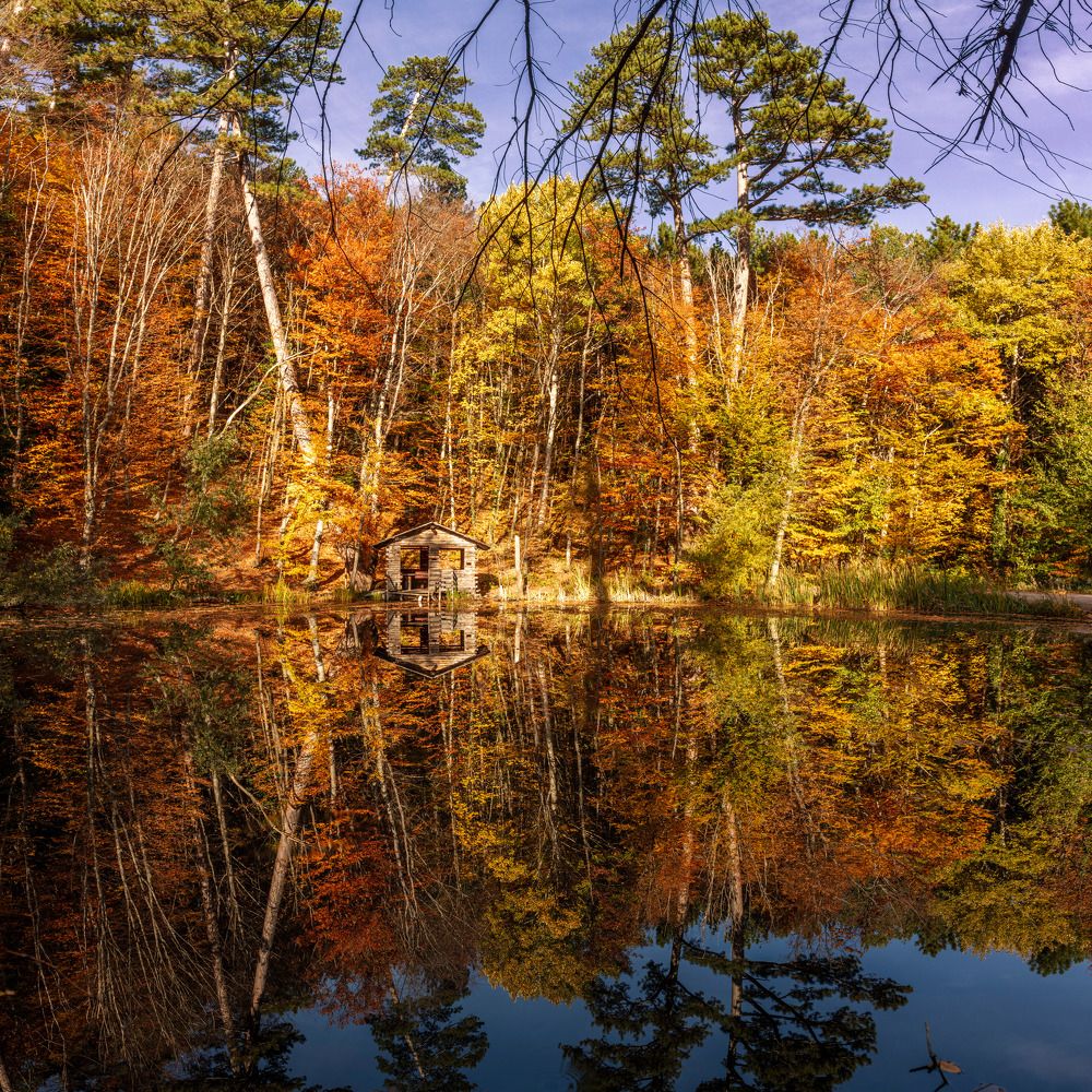 Photograph by  Valius