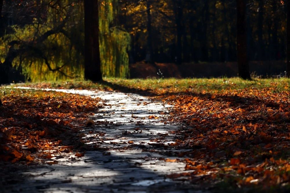 Photograph by Олег