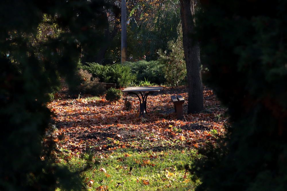 Photograph by Олег