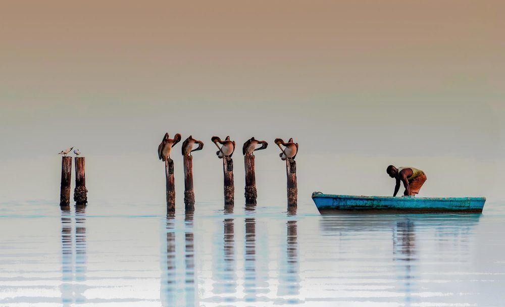 Photograph by Frank cobo blanco