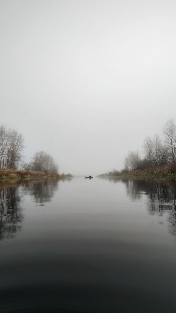 Photo #6673085