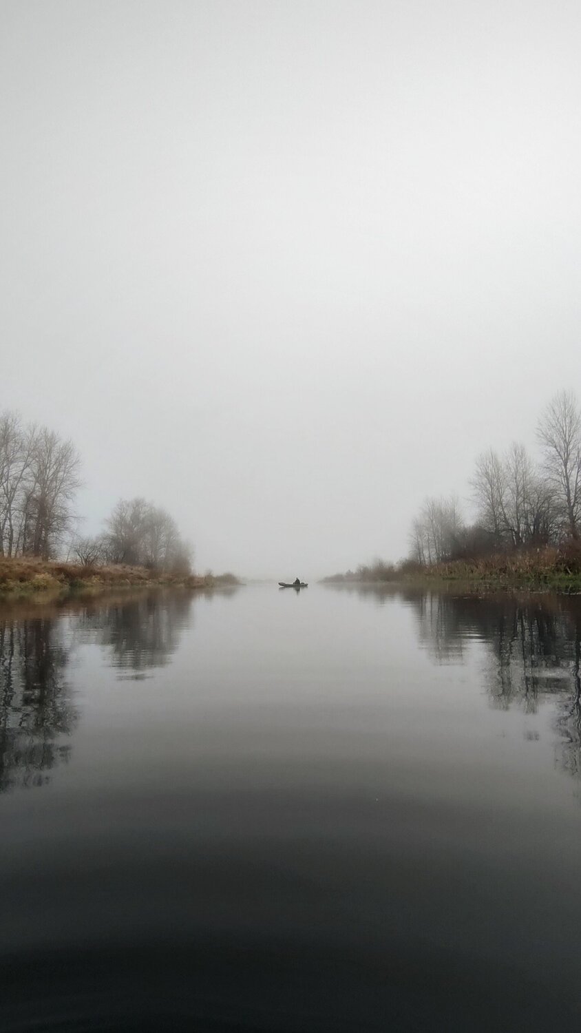 Photo #6673085