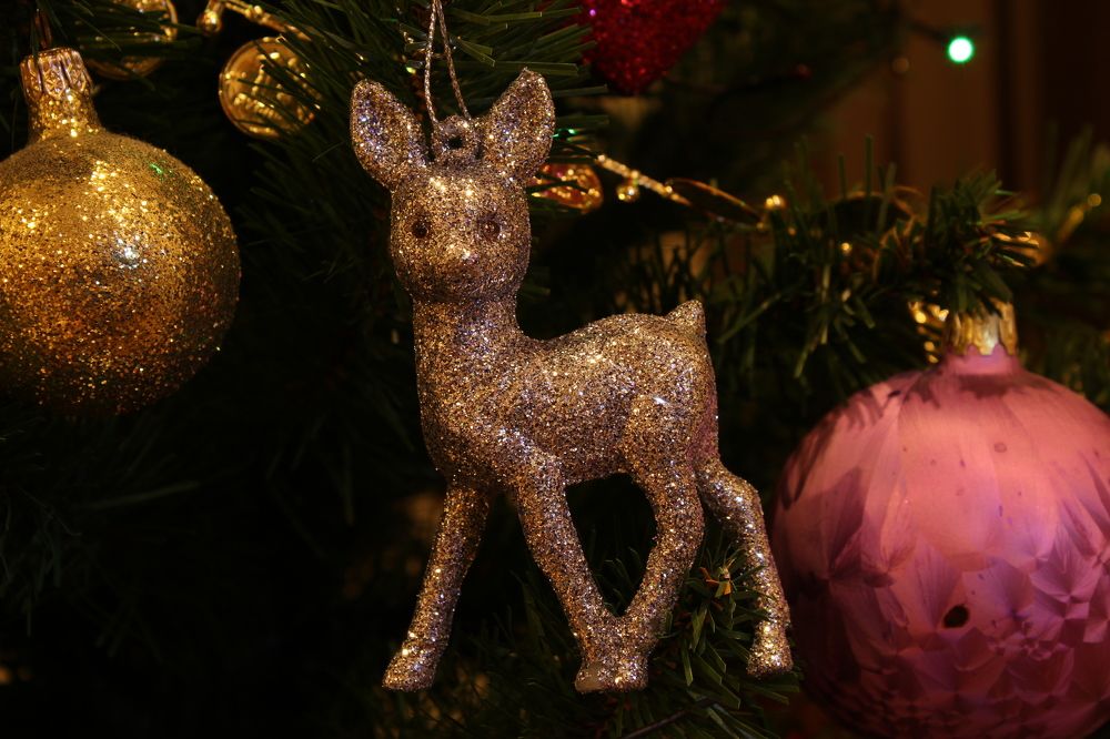 Photograph by Наталия