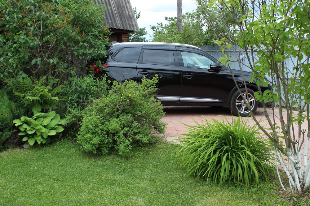 Photograph by Наталия