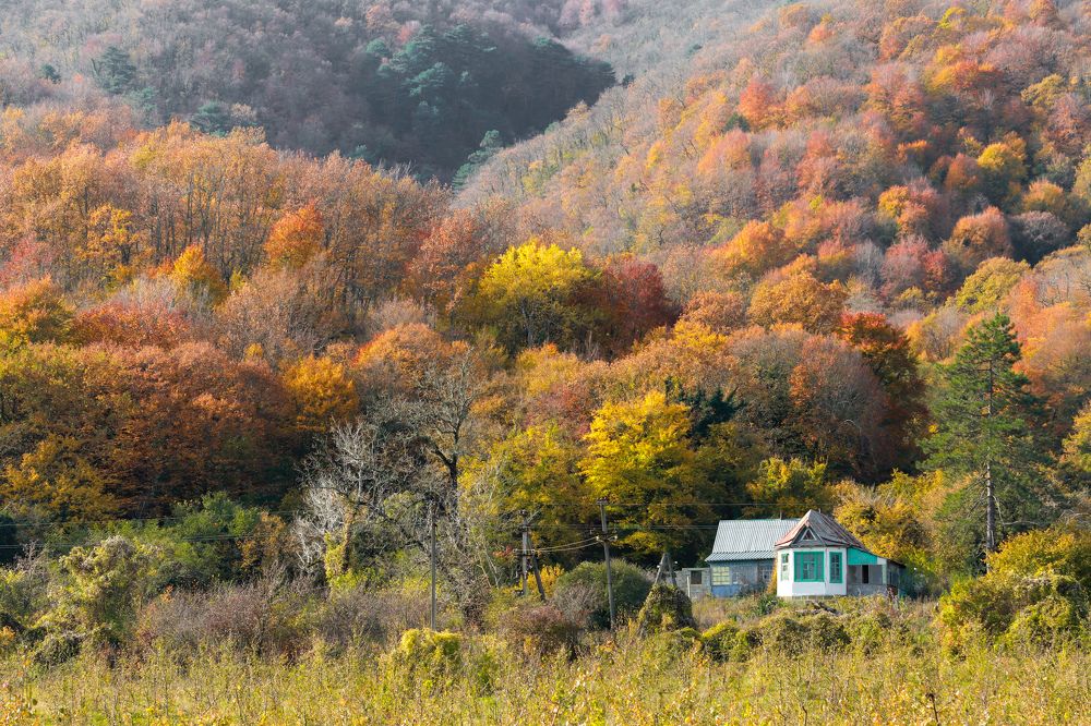 Осень в предгорье Кавказа