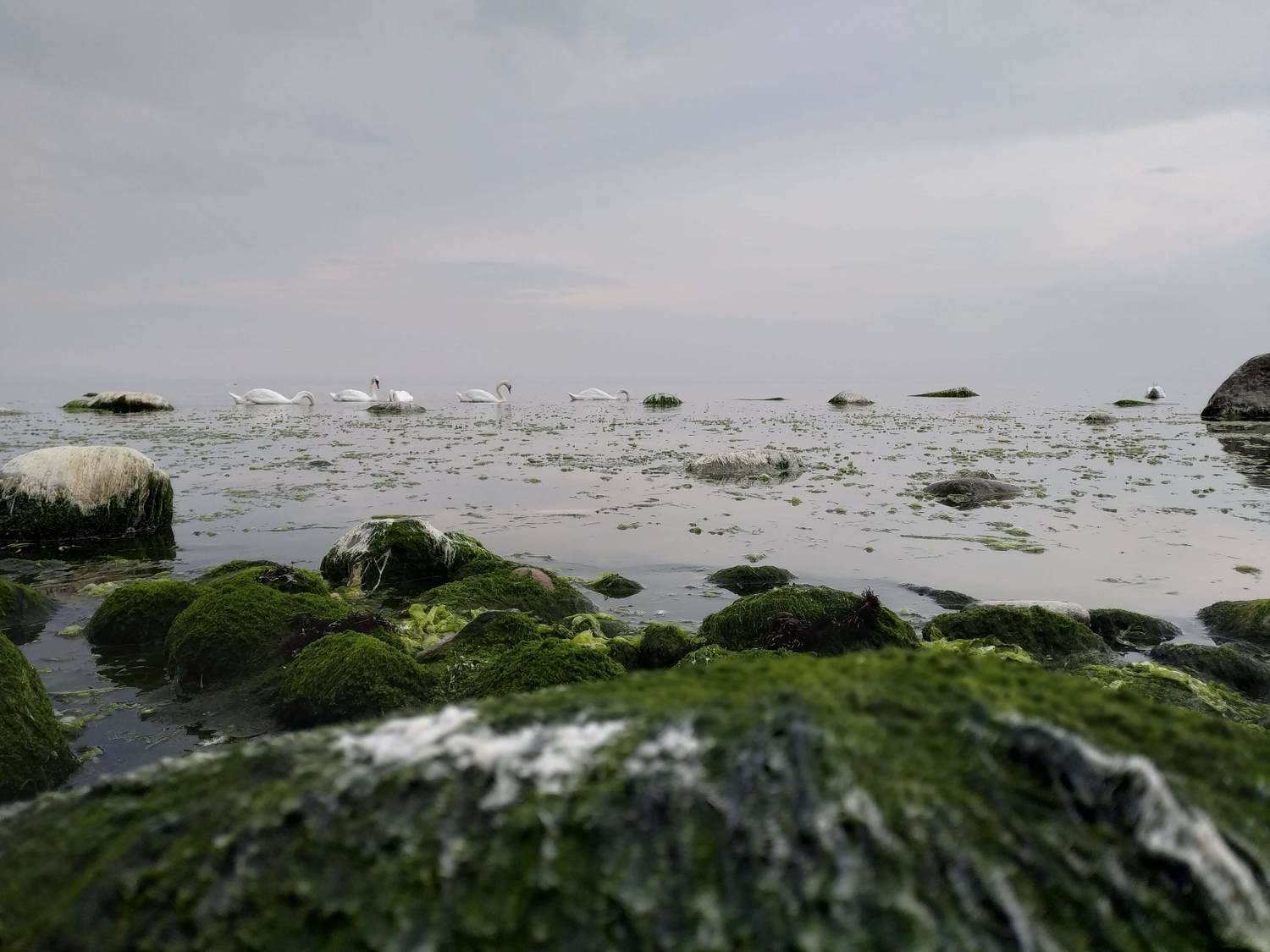 Photo #6673185