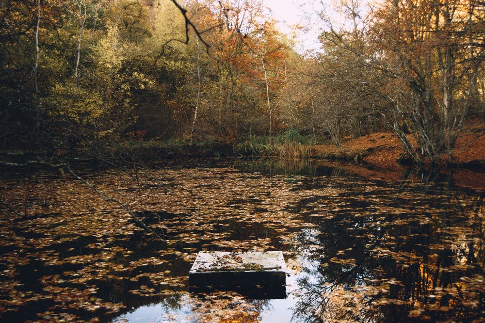 Photograph by Виктория Миллер