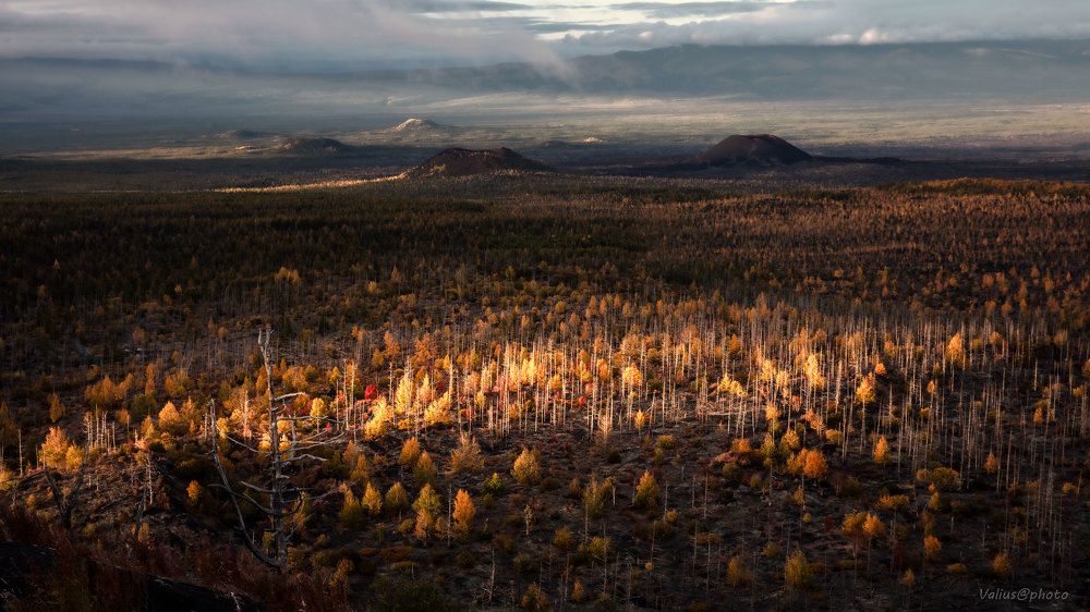 Photograph by  Valius