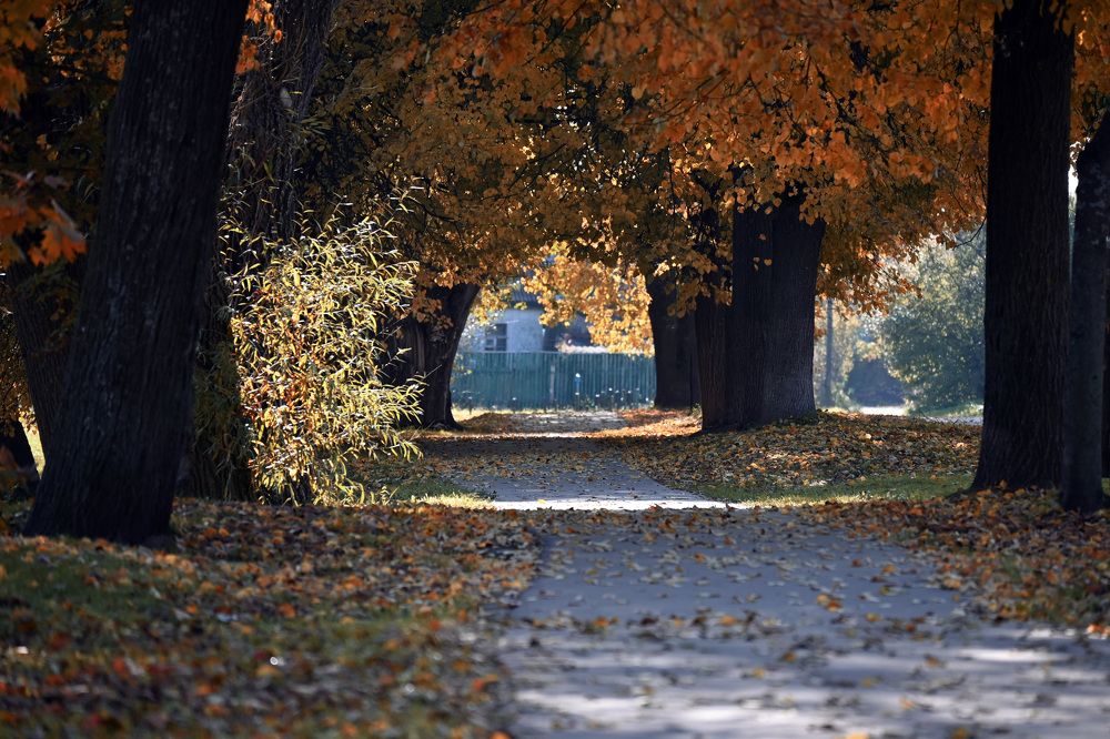 Фотография автора Larisa Meshkova