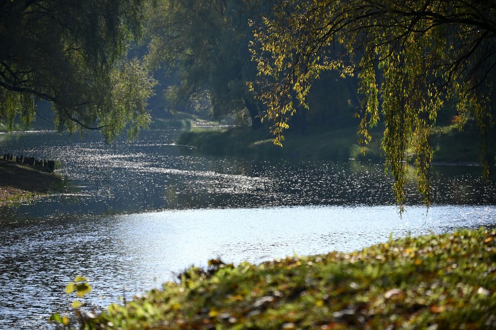 Фотография автора Larisa Meshkova
