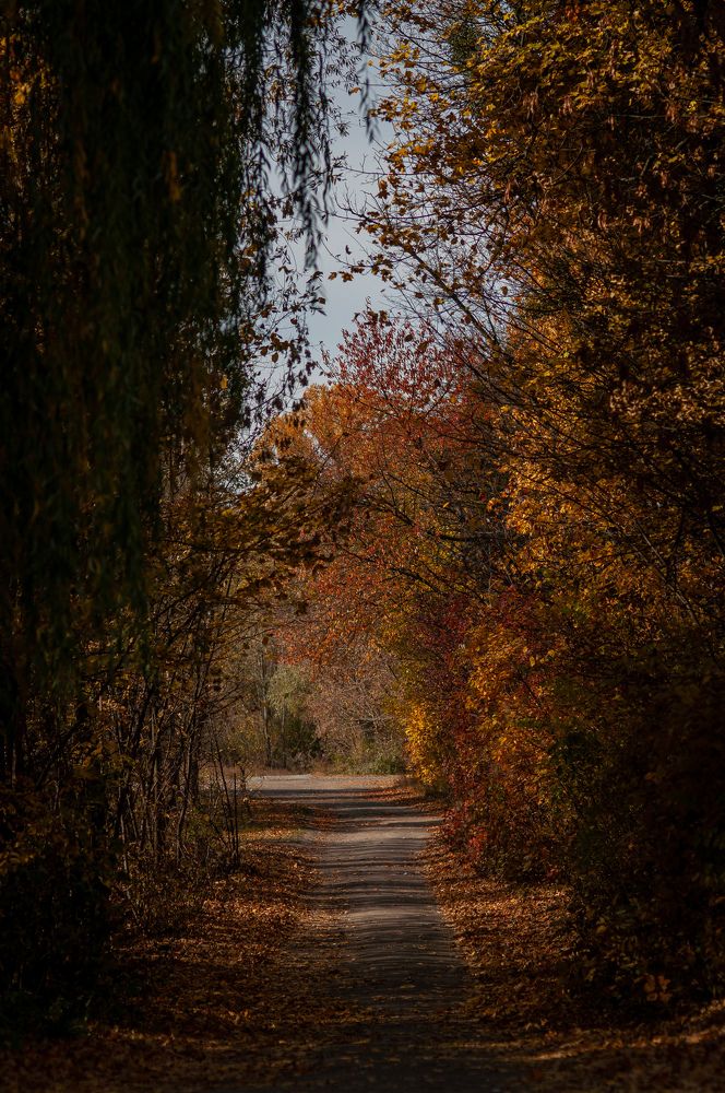 Photograph by Ольга Кудина