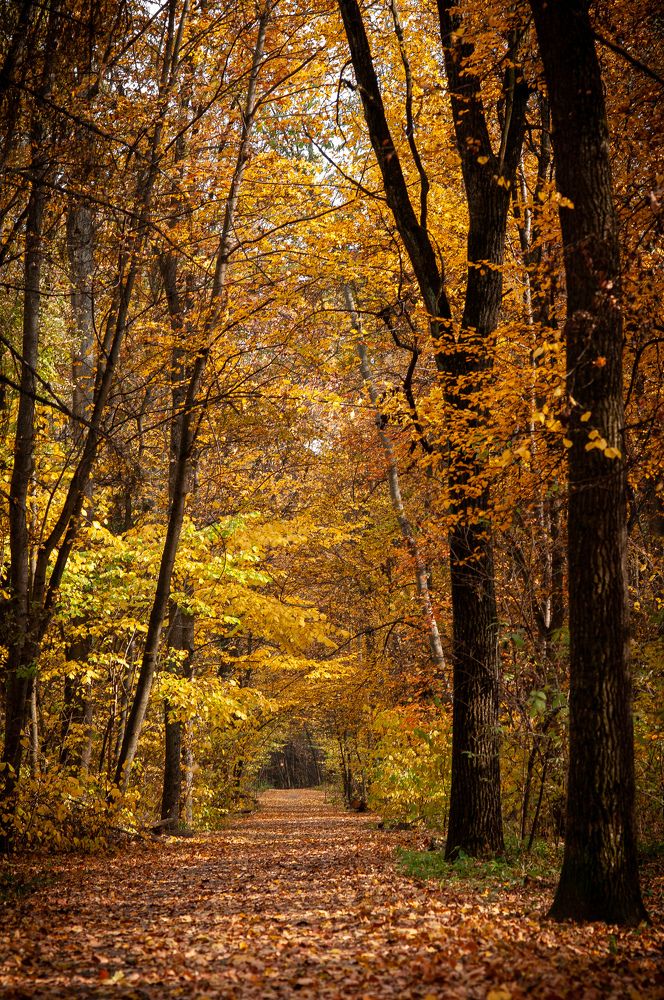 Photograph by Ольга Кудина