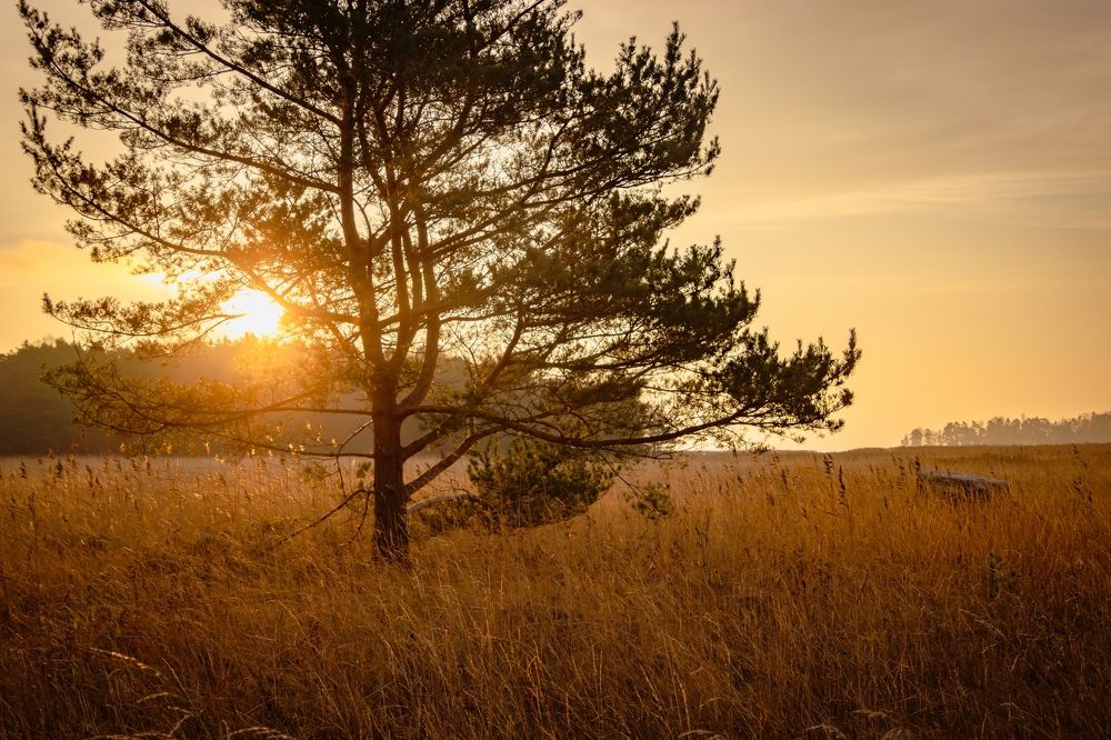 Photograph by Epp Tappel