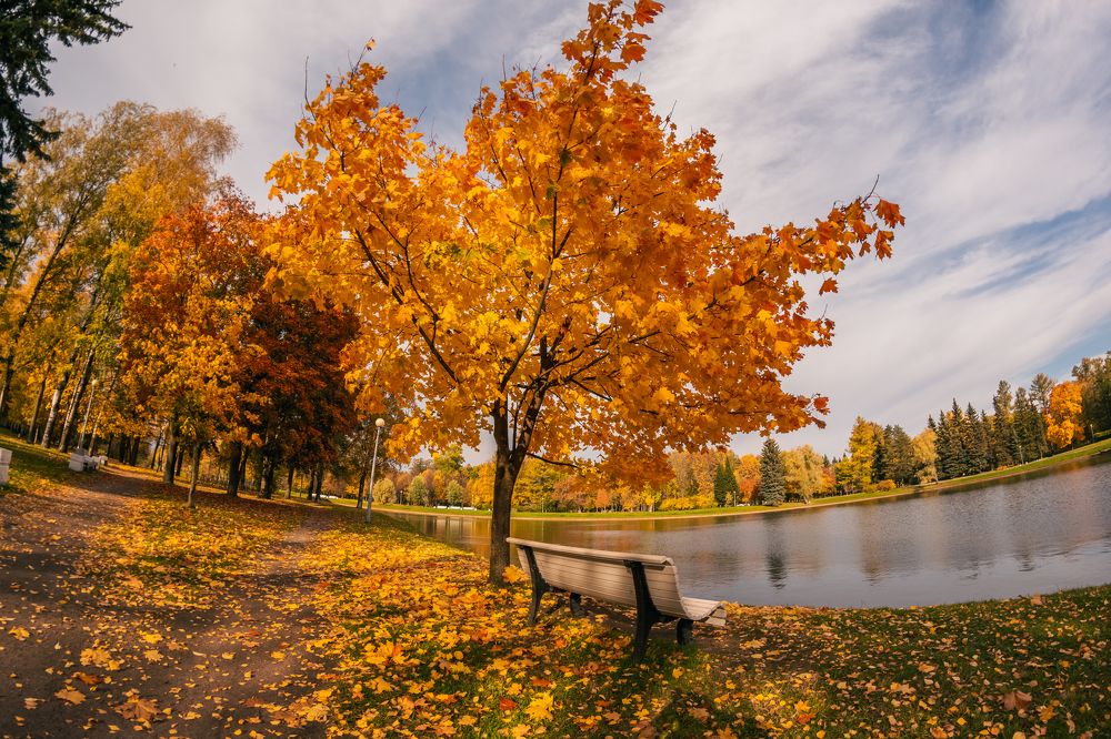 Photograph by Сергей Леканов