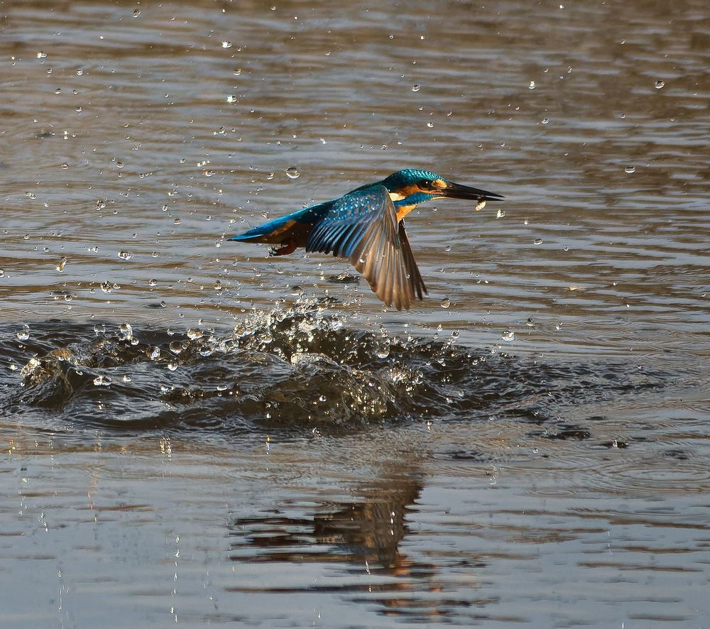 Photograph by Wendy Vanhoudt