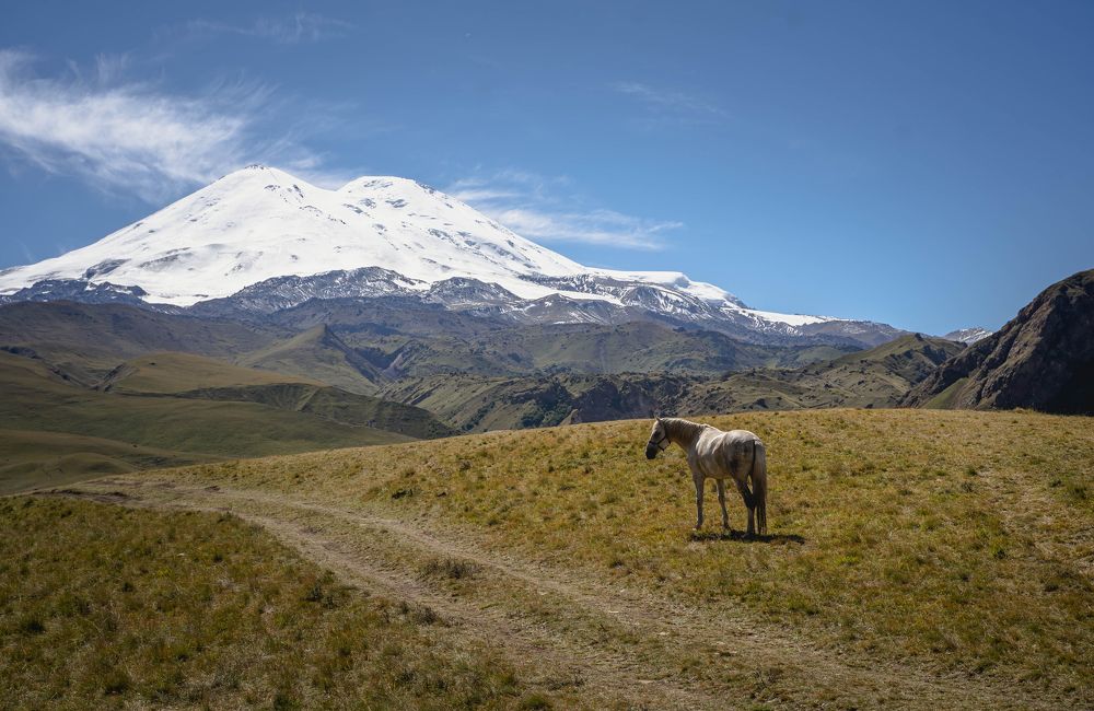 Photograph by Ирина Умиленко