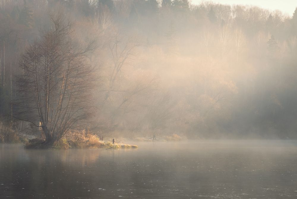 Photograph by Максим Мозжухин