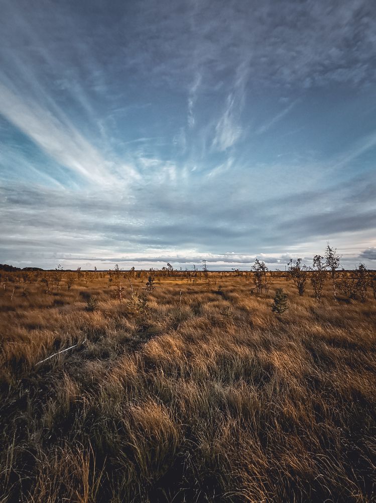 Photograph by Сергей Леканов