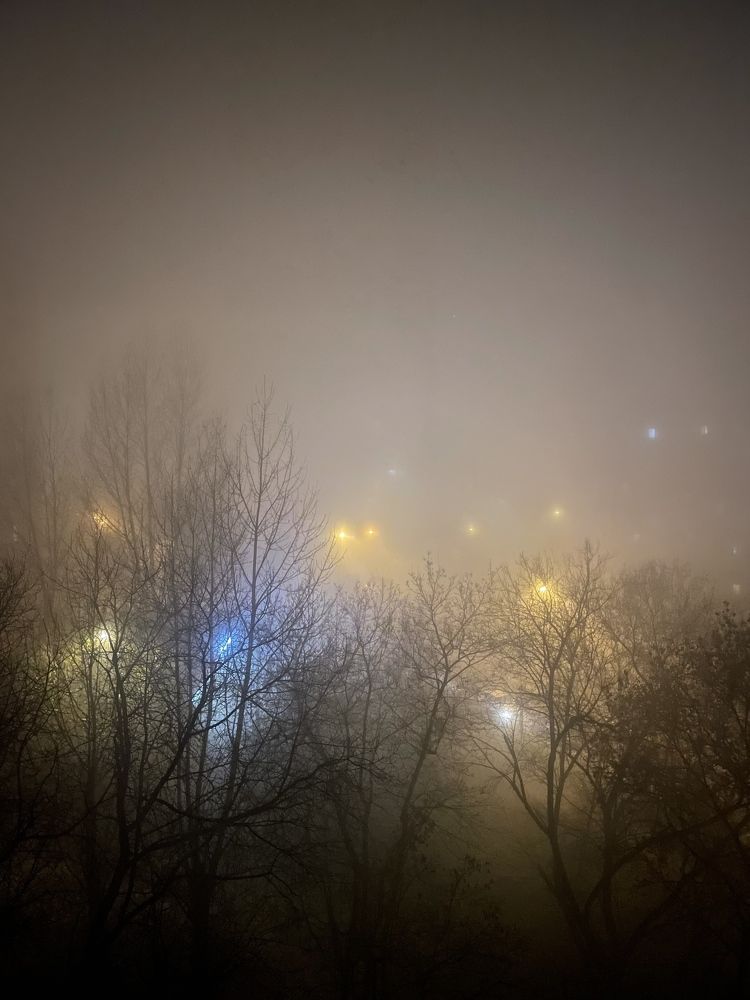 Photograph by Мария Козлова