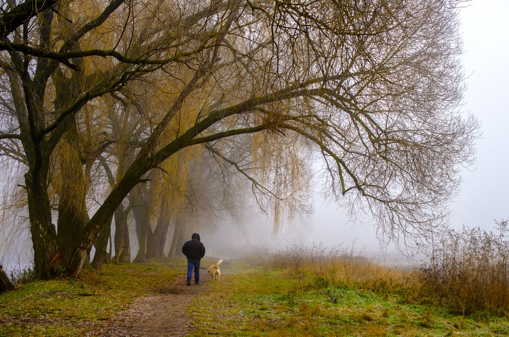 Photograph by Евгений Каримов