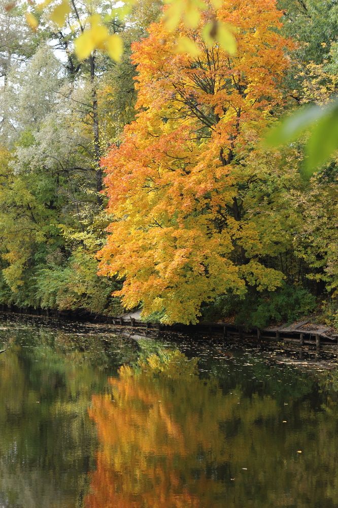 Photograph by Алеся Маклакова