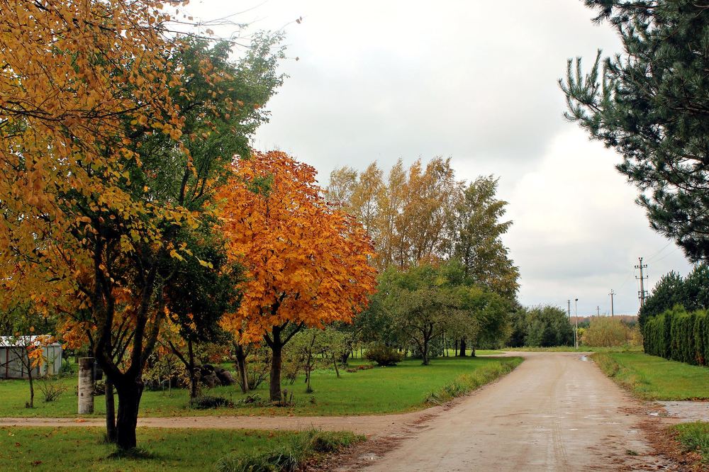 Photograph by Ольга Антанавичене