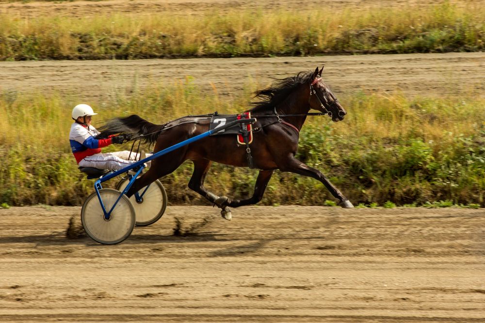 Photograph by Ольга Заповедная