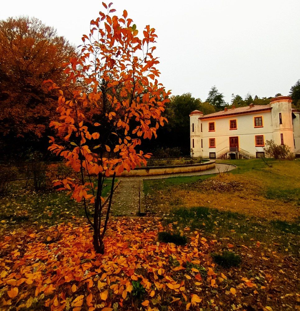 Photograph by Paola Sini