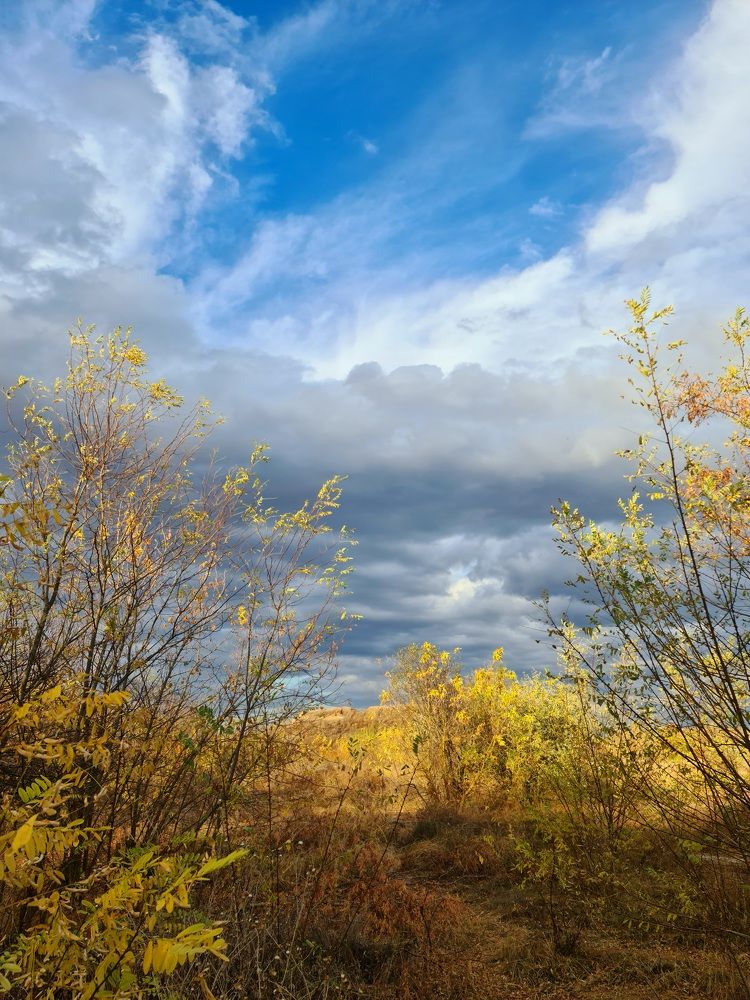 Photograph by Сергей Мамалюк