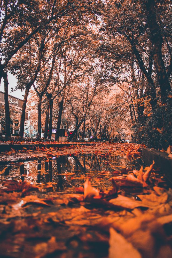 Photograph by ahmad hamzeh