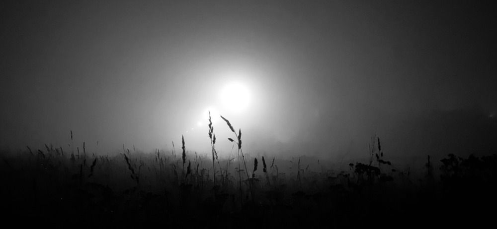 Photograph by Кирилл Прохоров