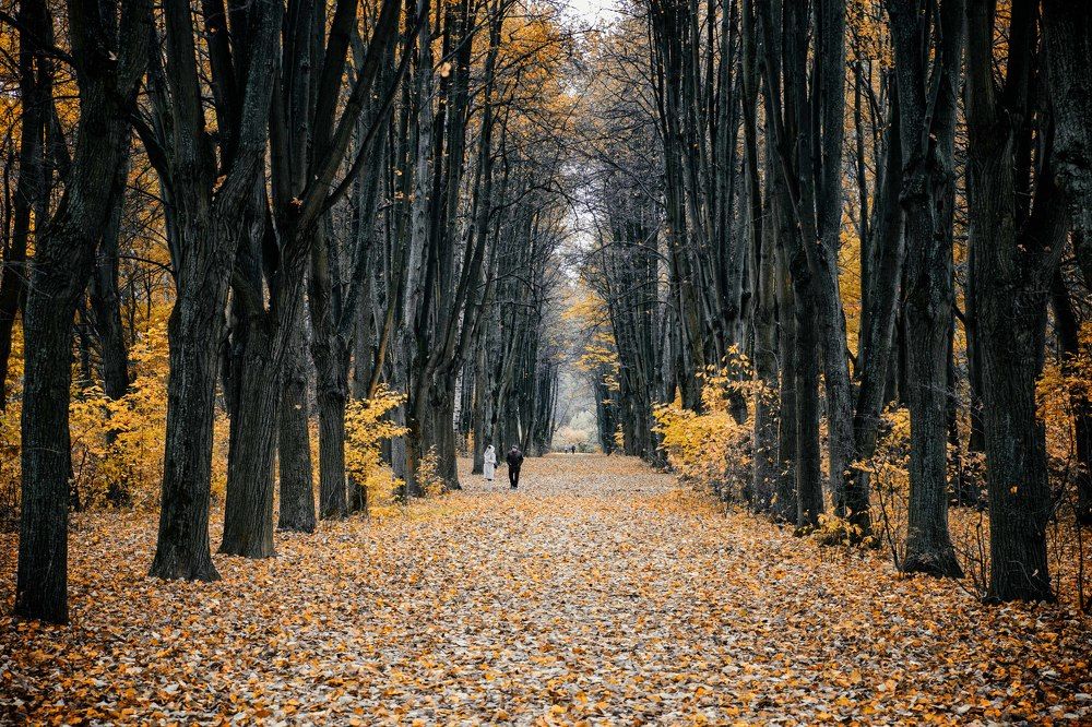 Photograph by Екатерина Рябинина