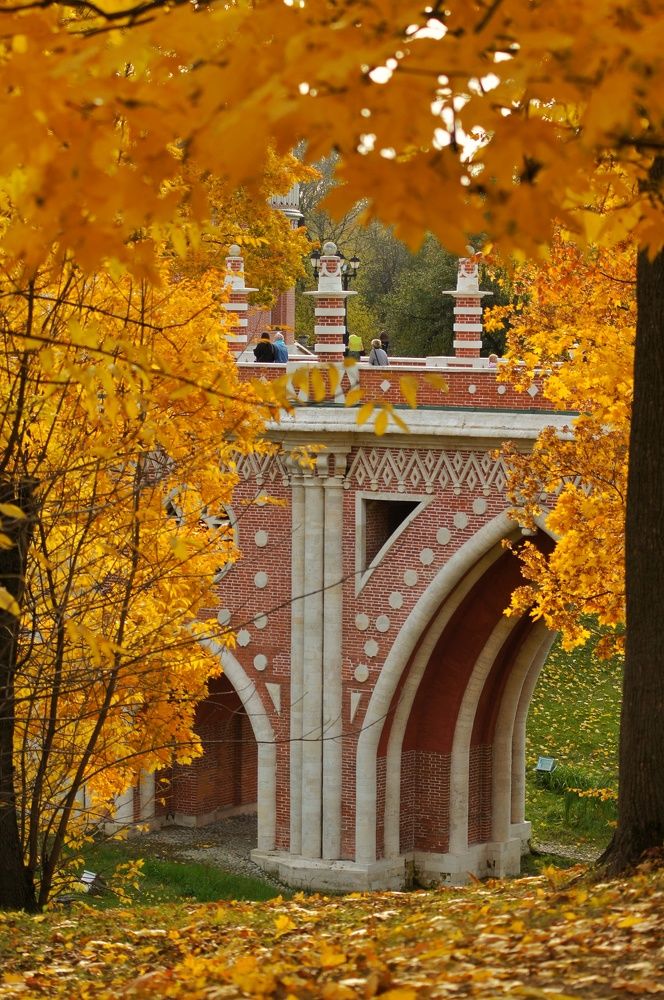 Фотография автора Slim Soyadi