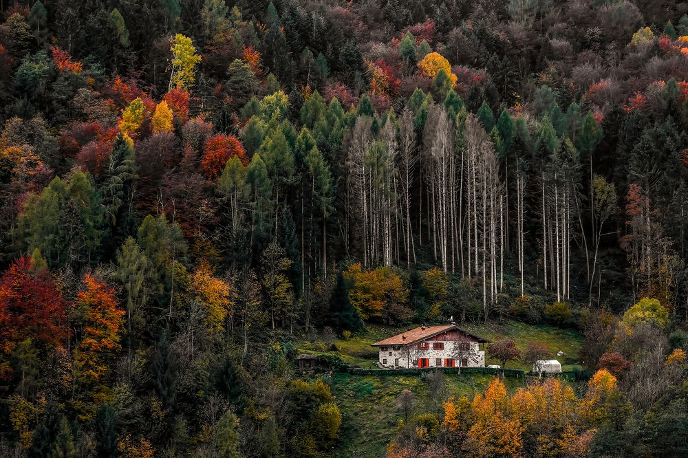 Autumn in Val Dorizzo