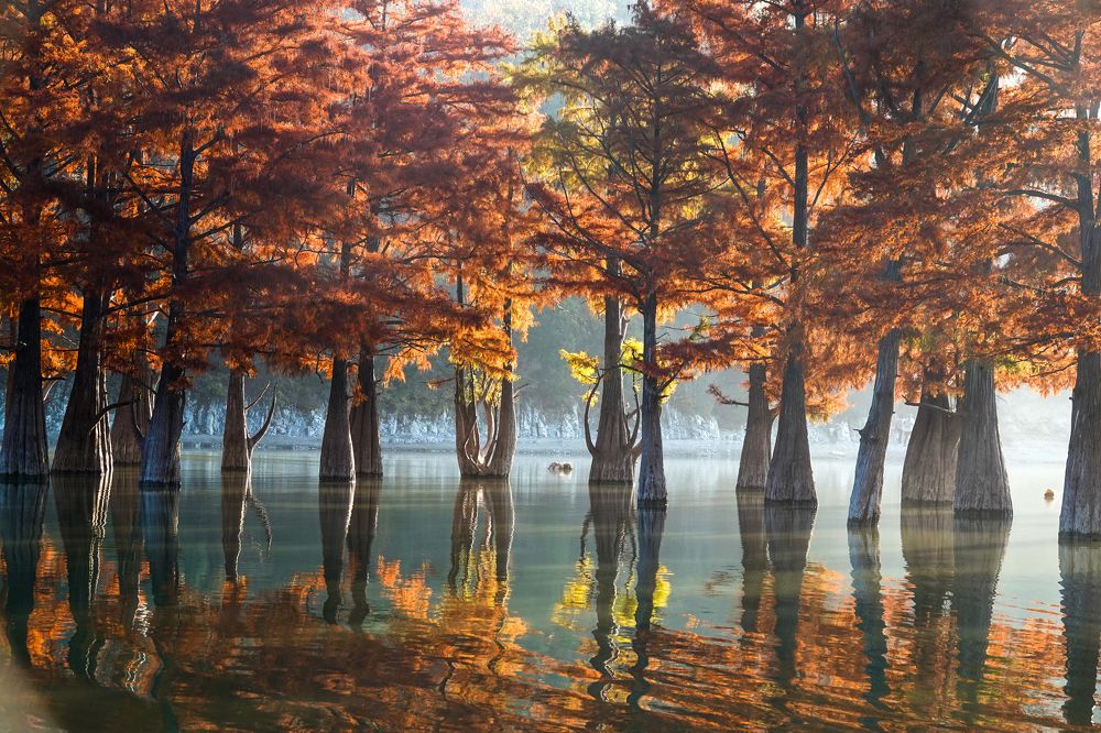 Photograph by Юлия Воронова