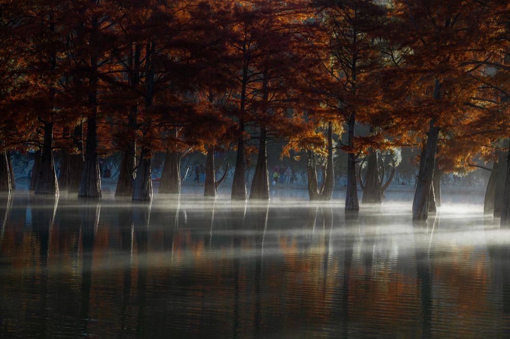 Photograph by Юлия Воронова